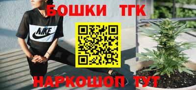 гидропоника Новозыбков