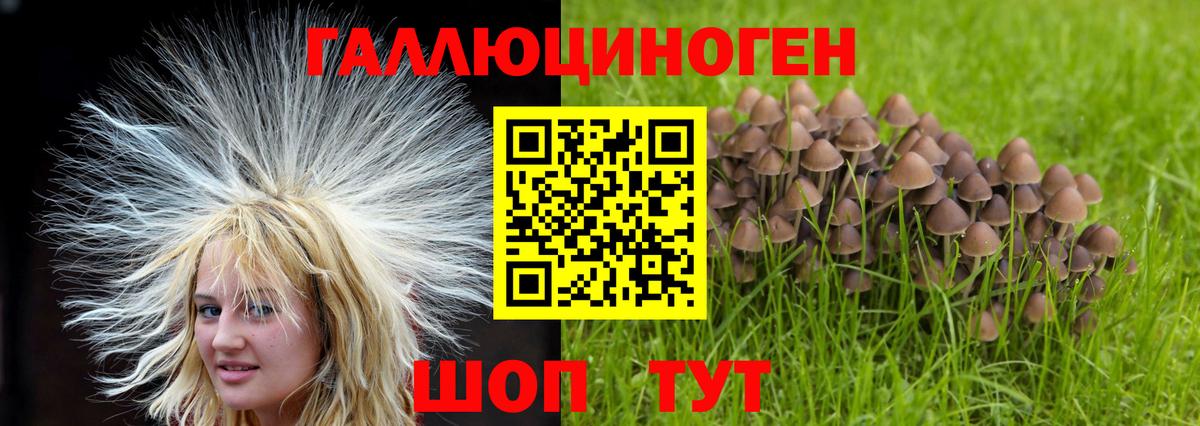 Усолье-Сибирское  Псилоцибиновые грибы мухоморы  Вход с VPN 